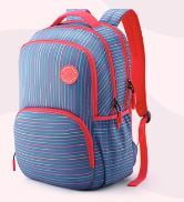 American Tourister Bag Pack Grey (LN8008102)