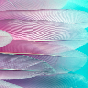 Artificial Feather