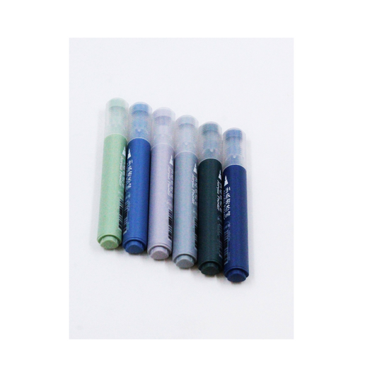 Acrylic Painter CS-H833-6Pc Set