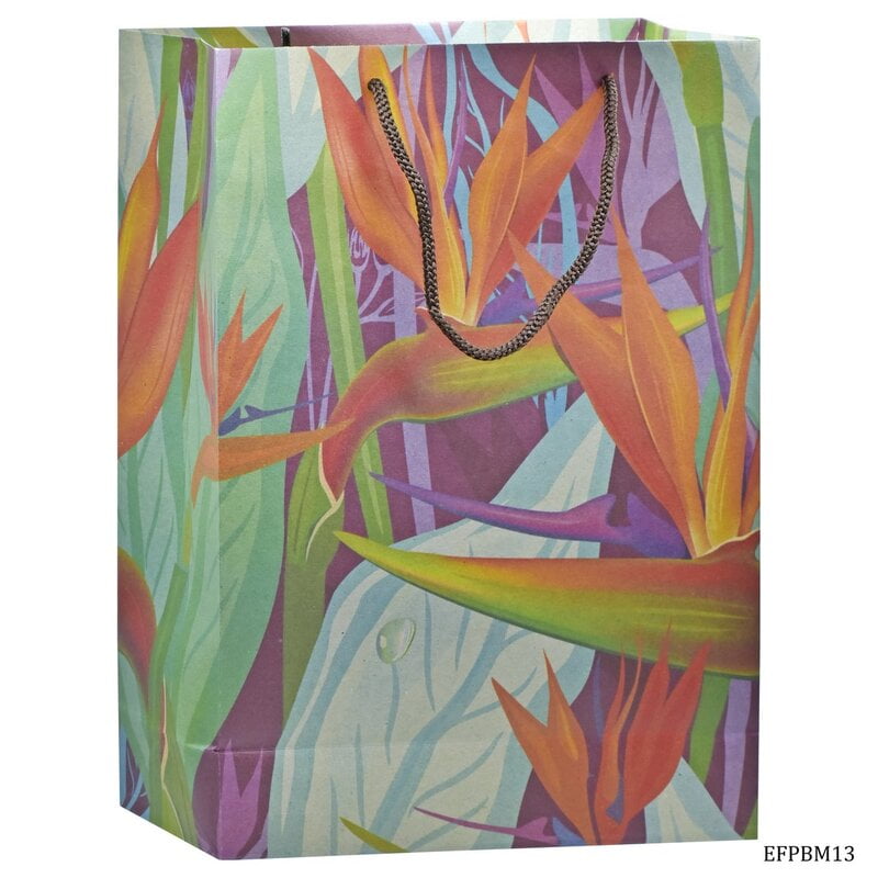 Eco Friendly Paper Bag Big 14.3x10.7 African Flaw EFPBM13 (JG)
