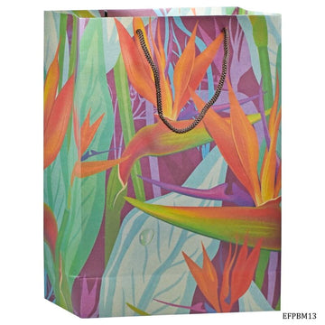 Eco Friendly Paper Bag Big 14.3x10.7 African Flaw EFPBM13 (JG)