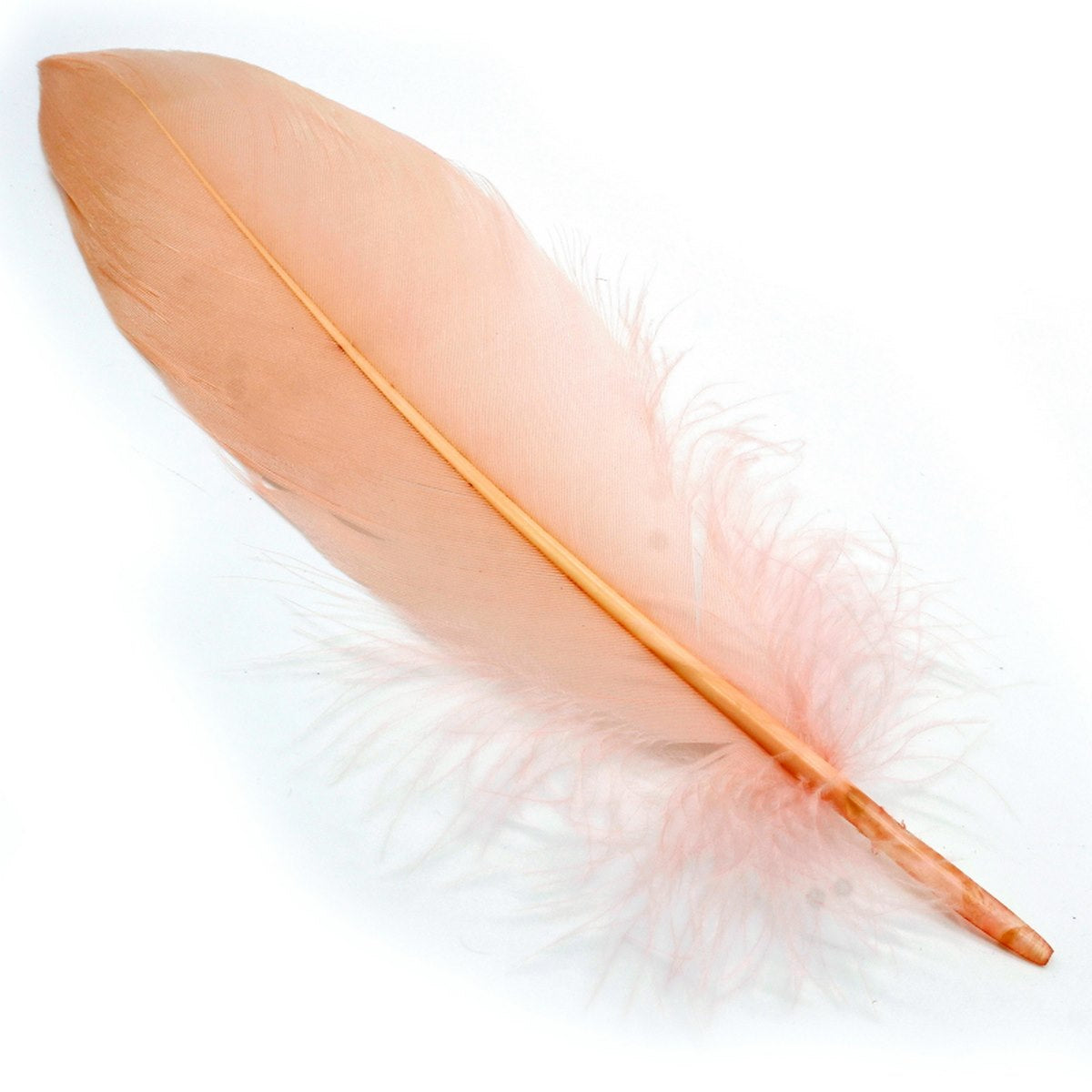 Feather Artificial Medium Colour CFM-A (JG)