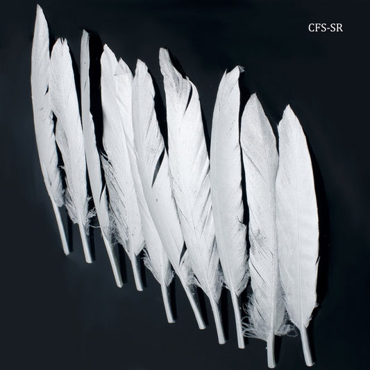 Feather Artificial Small Silver CFS-SR (JG)