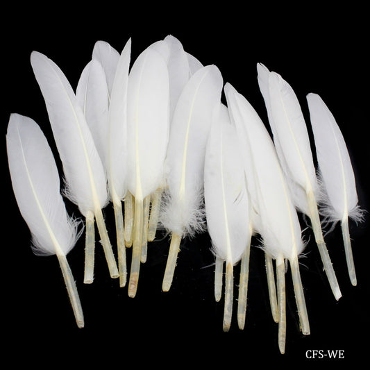 Feather Artificial Small White Colour CFS-WE (JG)