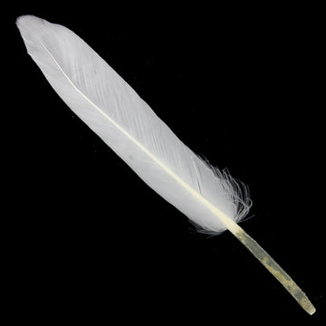 Feather Artificial Small White Colour CFS-WE (JG)