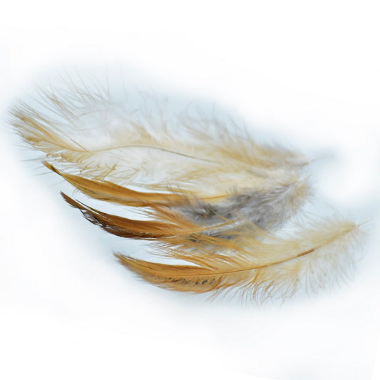 Feather Artificial Medium Natural Multi Colour FAMN00 (JG)