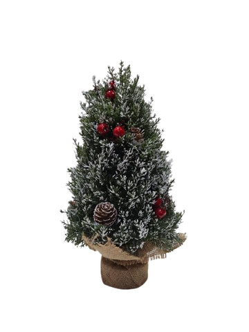 Christmas Tree 114XS336 (RN)